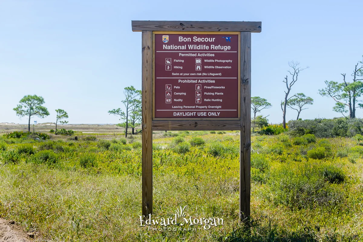 The Bon Secour National Wildlife Refuge area where we sometimes shoot family beach photography.